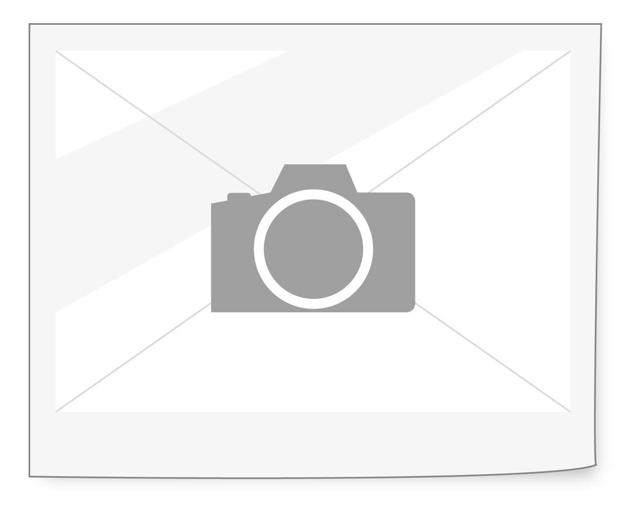 Double Plug for E-Motor for Renault