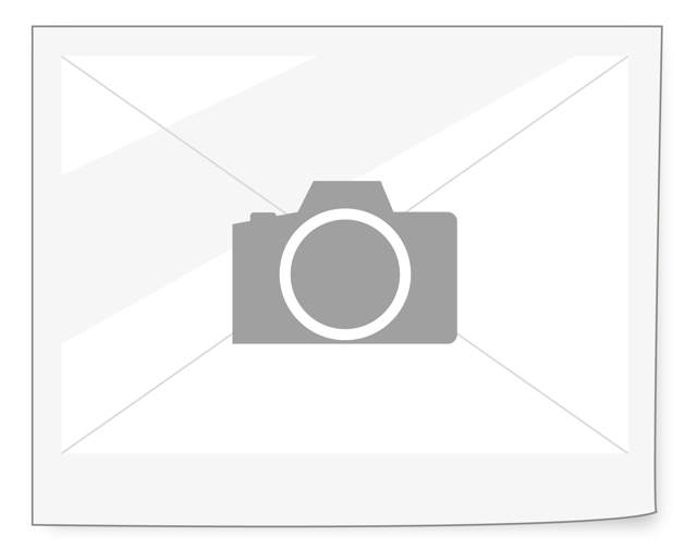 Double Plug for E-Motor for Renault